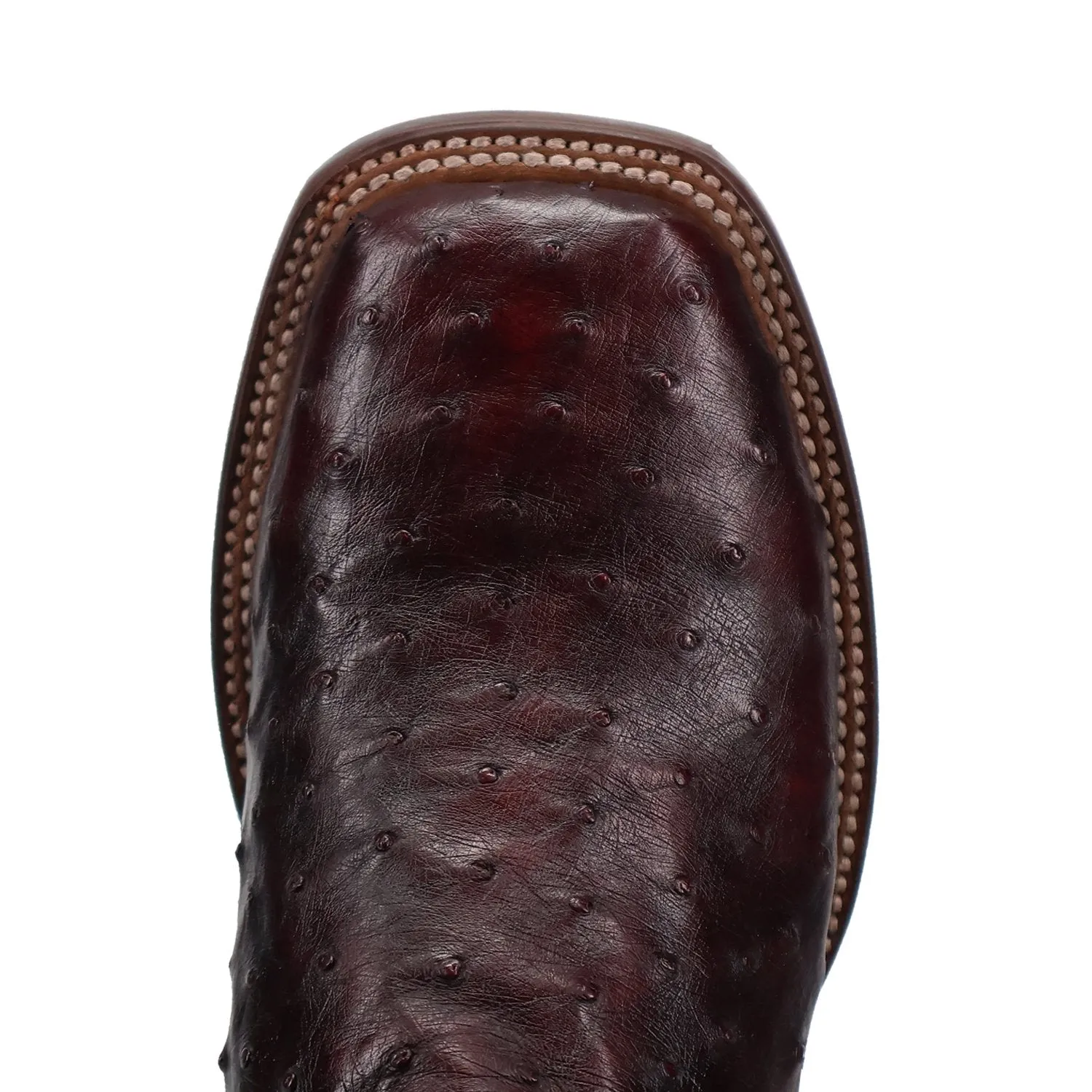 Dan Post Men's 13" Black Cherry Alamosa Full Quill Ostrich Boot