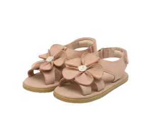 Iles Fields | Peony | Coral Betting Leather