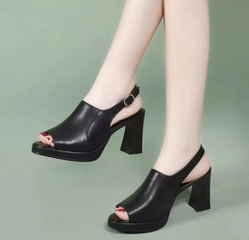 Women's Platform Sandals, Classic Summer Thick Heel   B89085  (38,39,40)